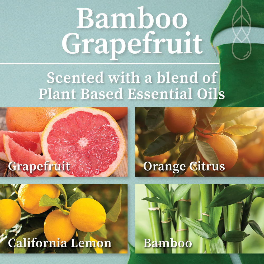 Close-up of natural coconut wax candle with Bamboo Grapefruit scent