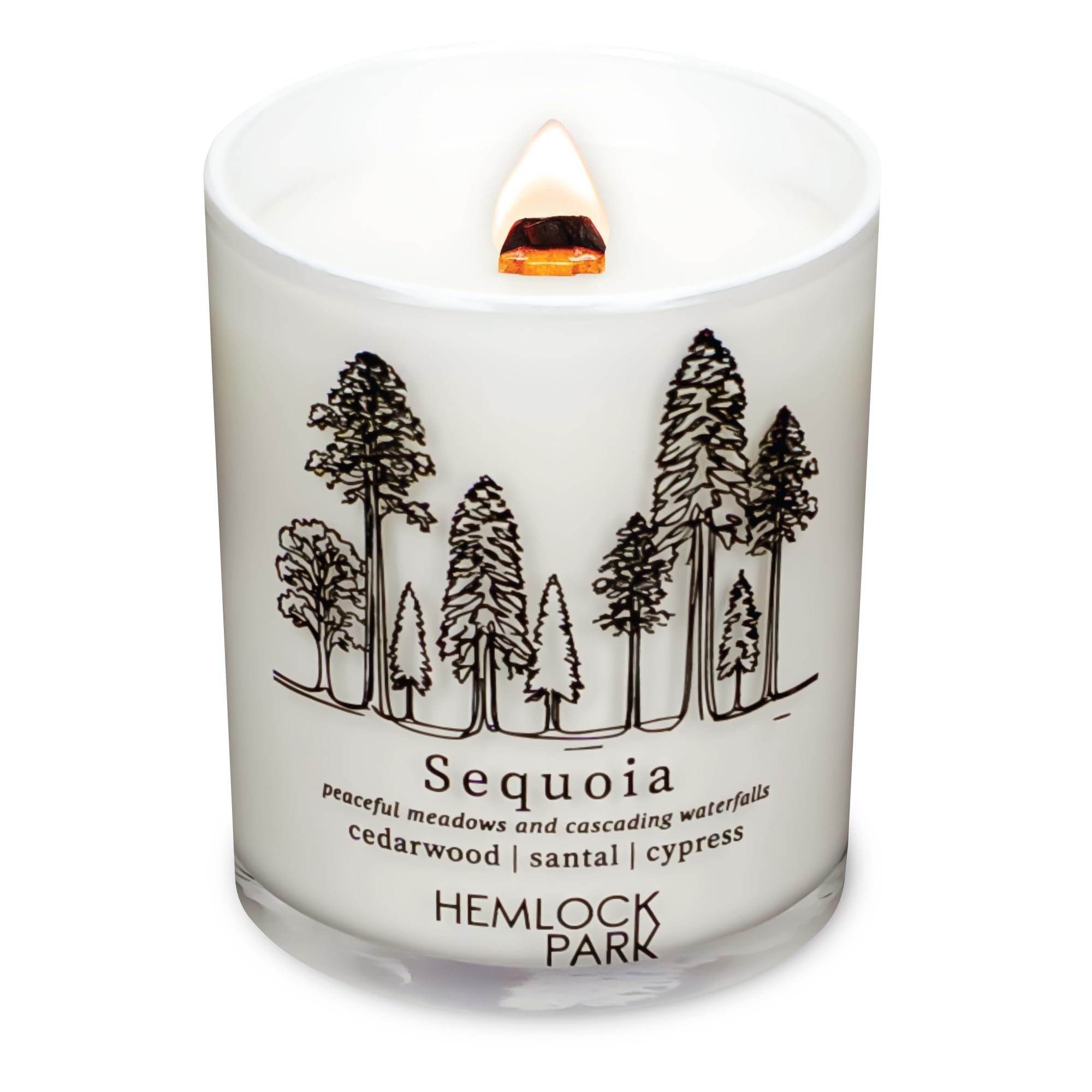 Hemlock Park Passport Candle in white glass jar with crackling wood wick (7.2 oz).