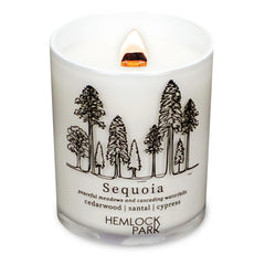 Hemlock Park Passport Candle in white glass jar with crackling wood wick (7.2 oz).