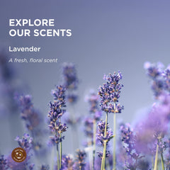 Right side view of Hemp Seed Massage Lotion Lavender bottle