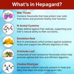 Artichoke leaf extract in Hepagard