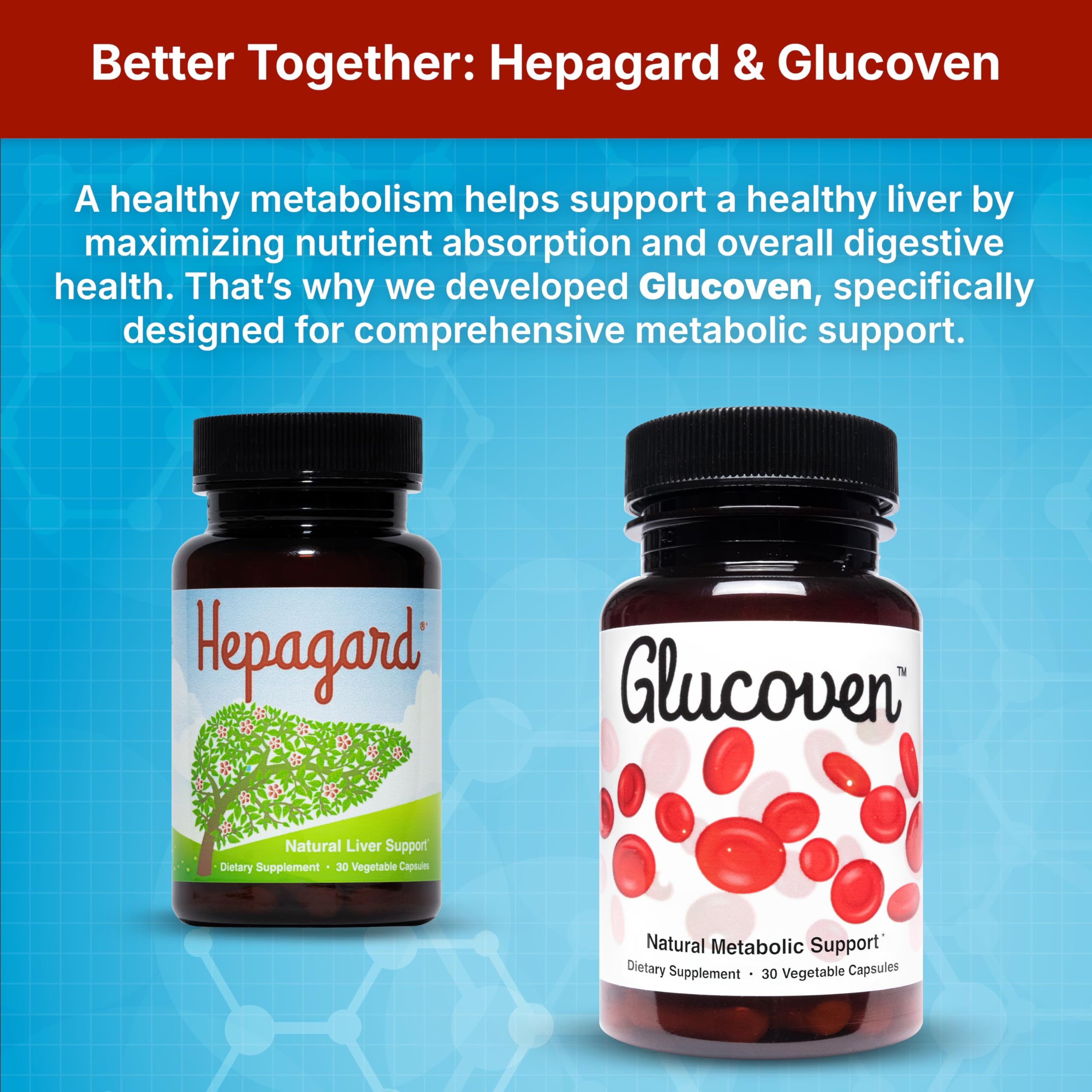 Illustration of Hepagard's five key ingredients
