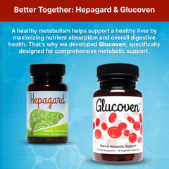 Illustration of Hepagard's five key ingredients