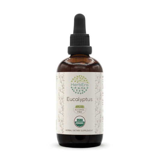 HerbEra Eucalyptus B120 tincture bottle - front view