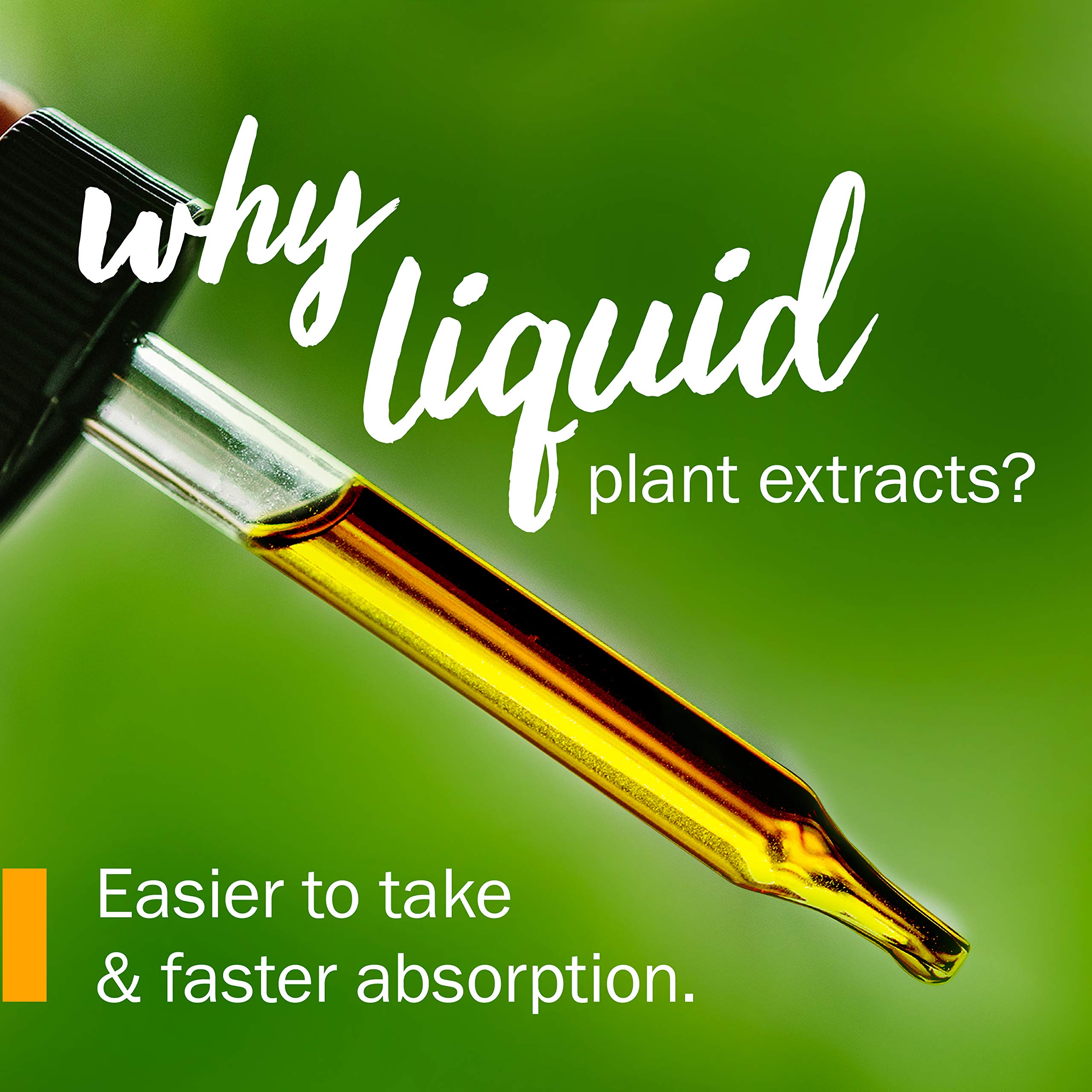 Close-up of dropper with Motherwort liquid extract