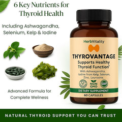 L-Tyrosine and Schisandra for energy and metabolism