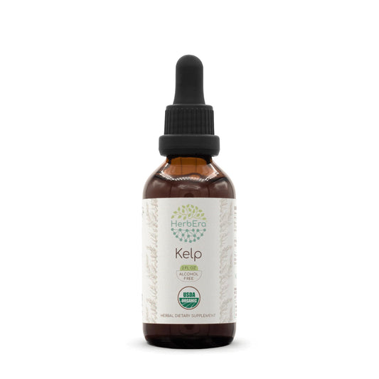 HerbEra Kelp B60 tincture bottle - front view
