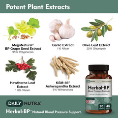 Garlic extract capsules used in Herbal-BP