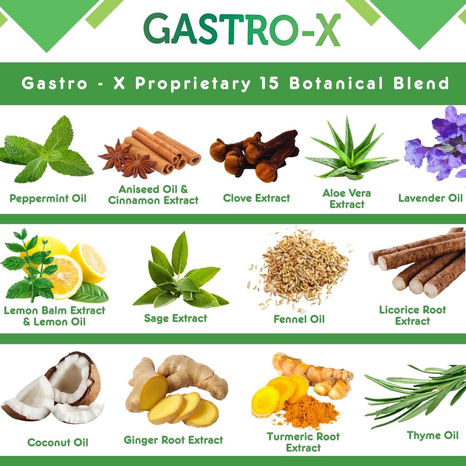 Assorted herbal extracts representing the 15 botanicals in Gastro-X