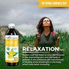 Herbal Goodness Mullein Drops USA-made GMP-certified production quality