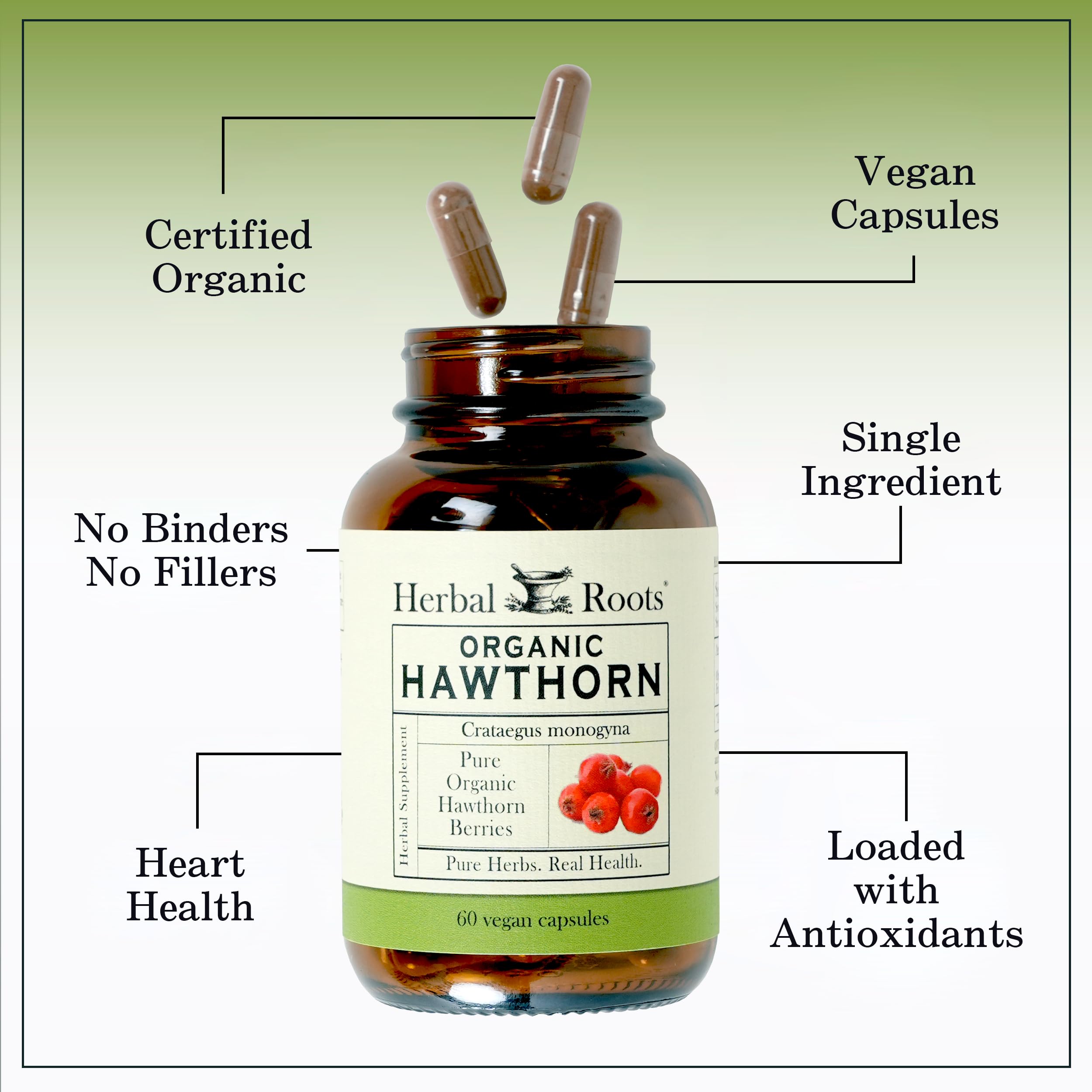 Herbal Roots packaging – made in USA