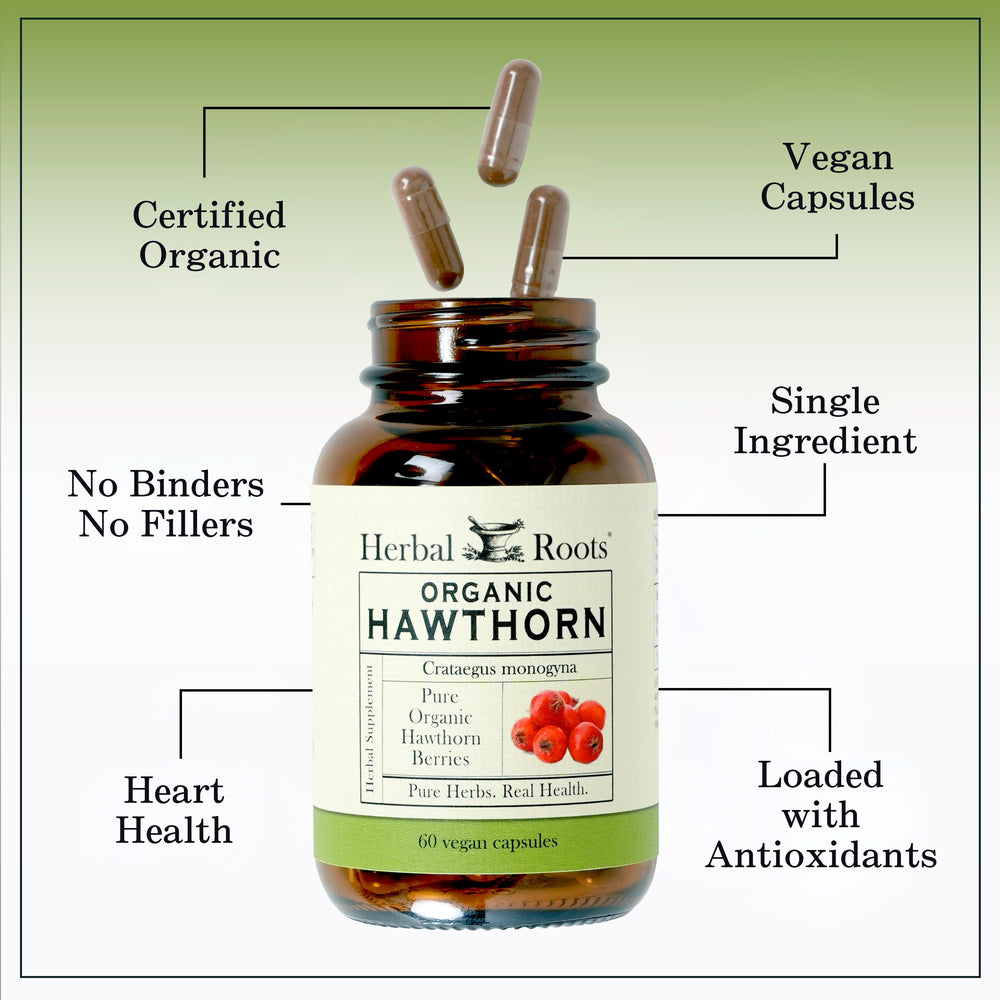 Herbal Roots packaging – made in USA