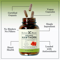 Herbal Roots packaging – made in USA