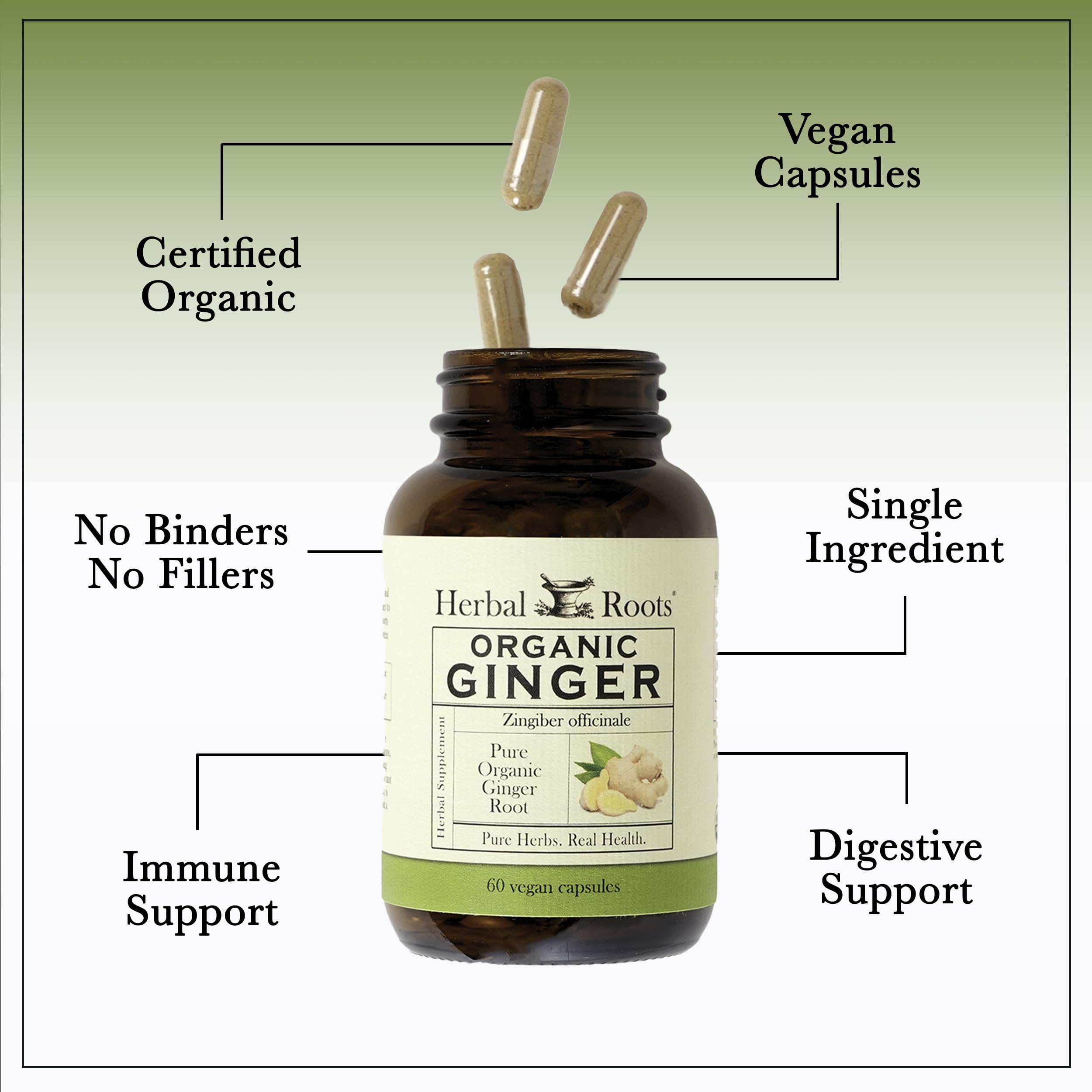 60 vegan ginger capsules inside a clear bottle