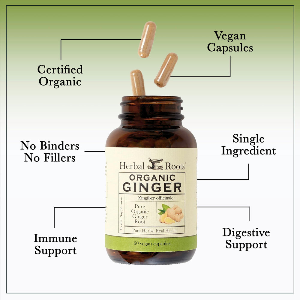 60 vegan ginger capsules inside a clear bottle