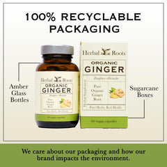 USDA Organic seal on Herbal Roots Ginger Supplement packaging