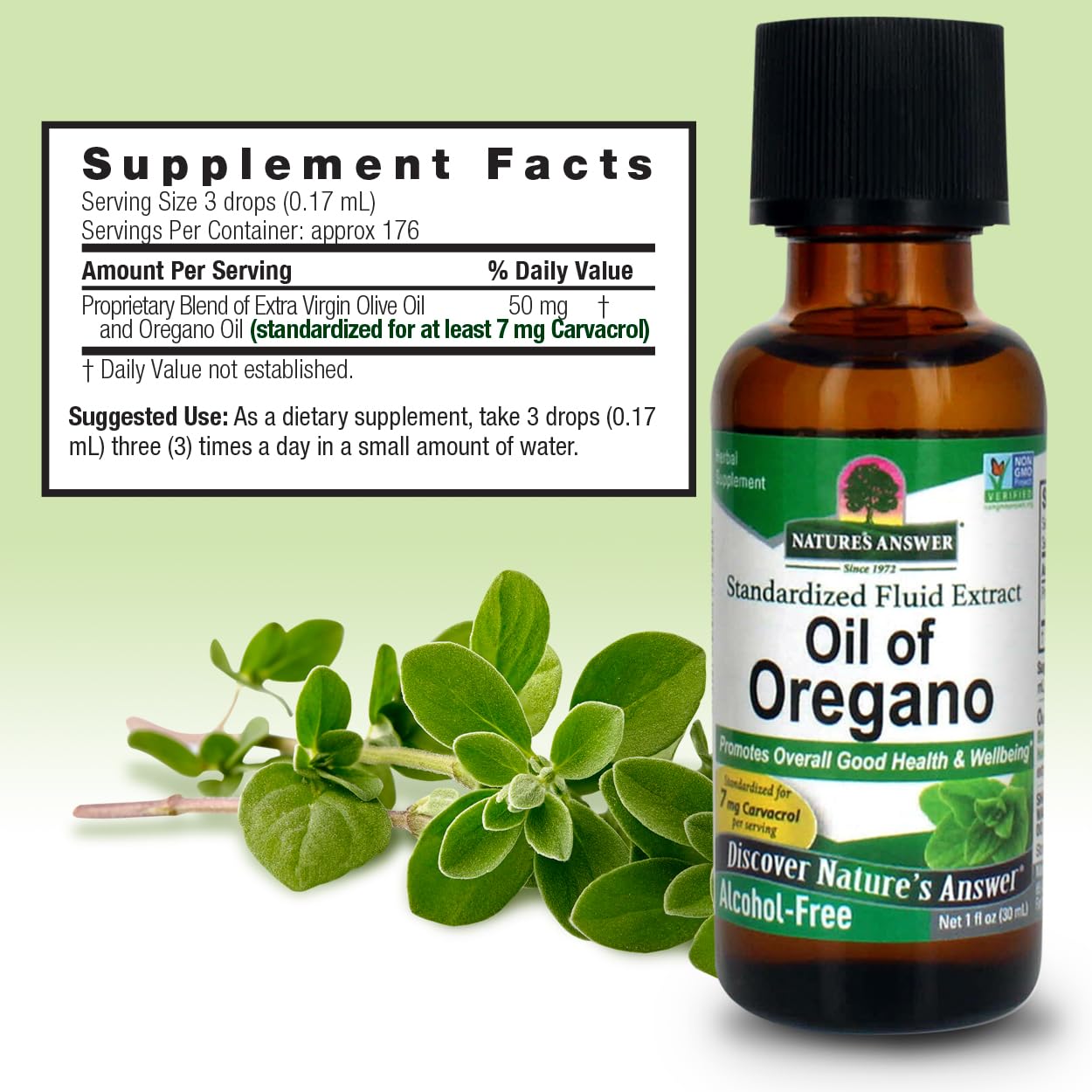 Herbal supplement supporting digestive health illustration