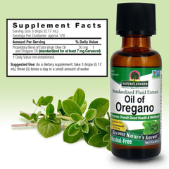 Herbal supplement supporting digestive health illustration