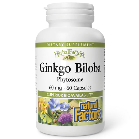 HerbalFactors Ginkgo Biloba Phytosome bottle – 60 capsules