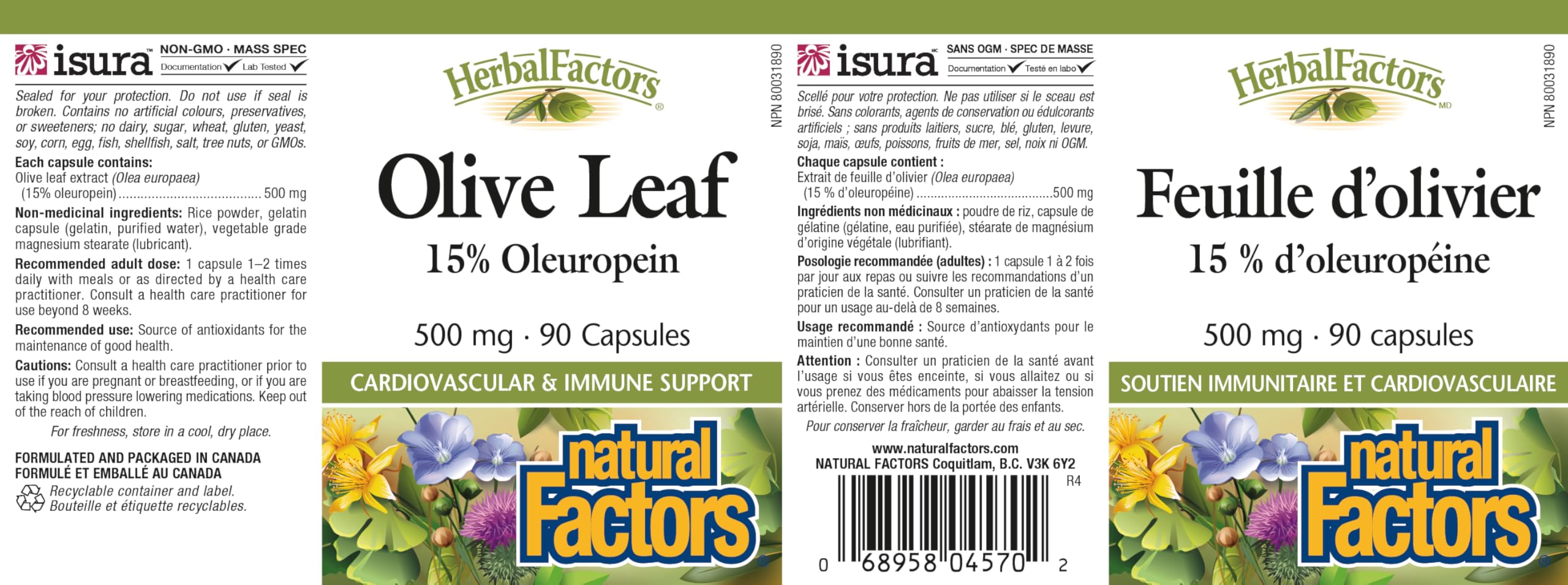 Olive leaves and capsules on white background