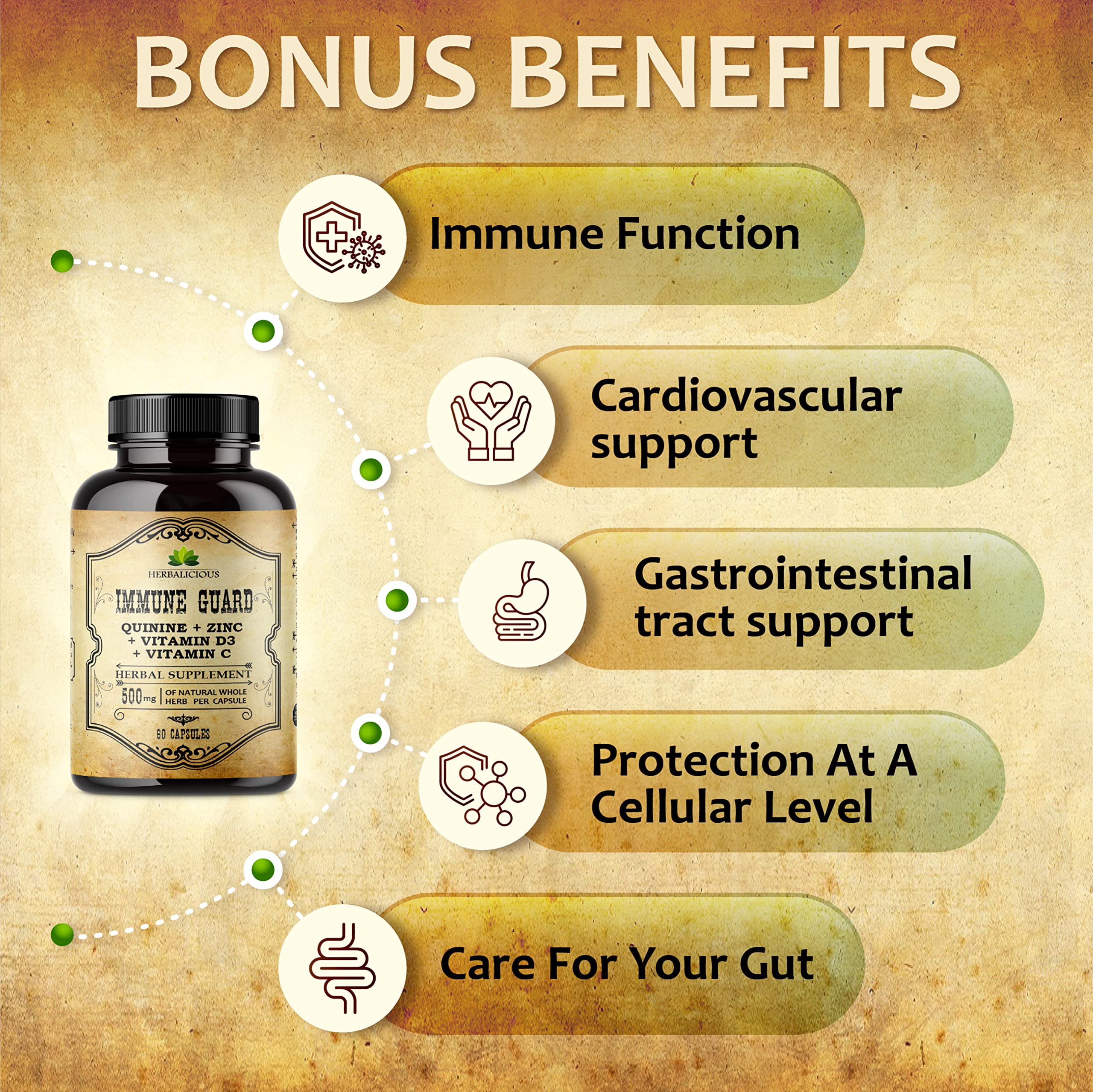 Digestive wellness concept with stomach-supporting herbs