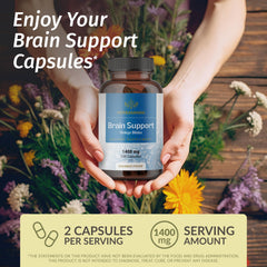 Ingredients visual showing Bacopa, Panax Ginseng, Ashwagandha and Ginkgo