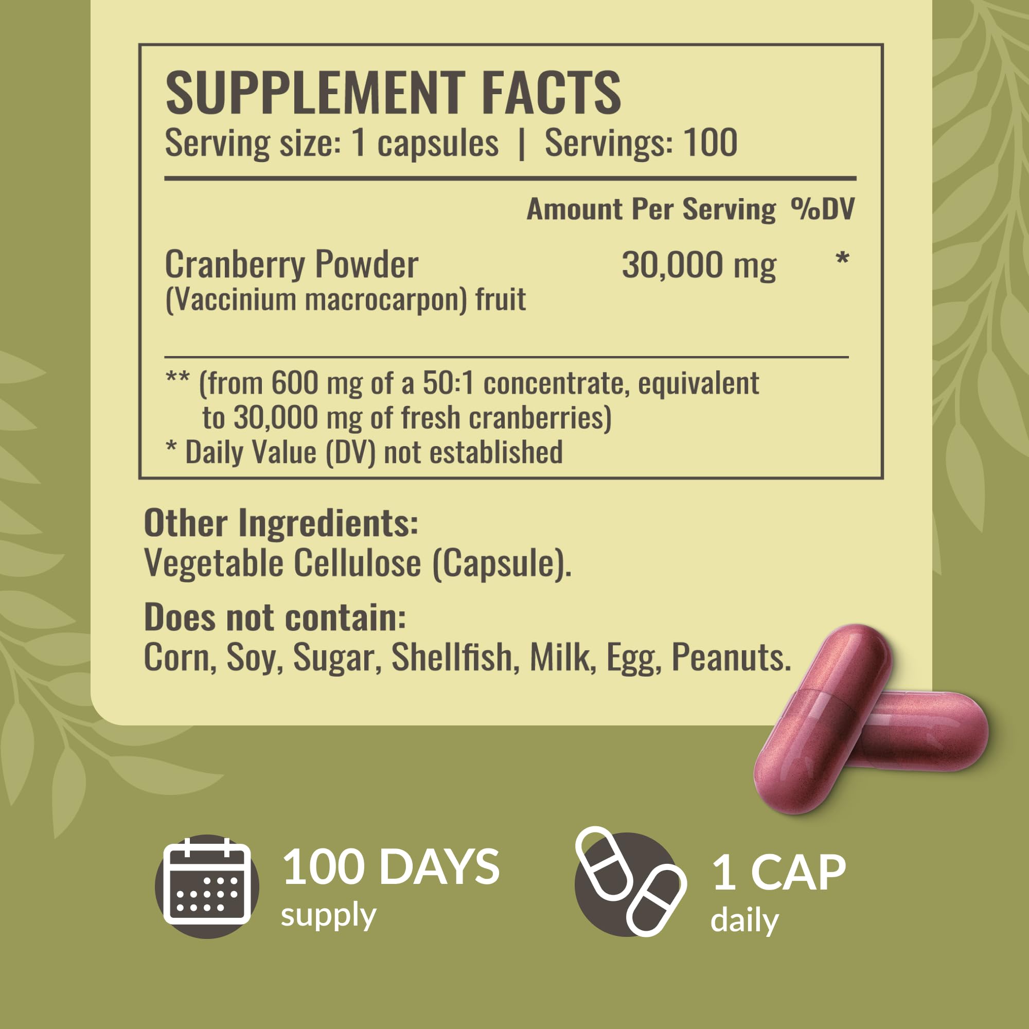 Back view showing supplement facts on Herbamama Cranberry Extract Capsules Pack 2