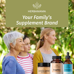 Angelica root powder and capsules for women's health