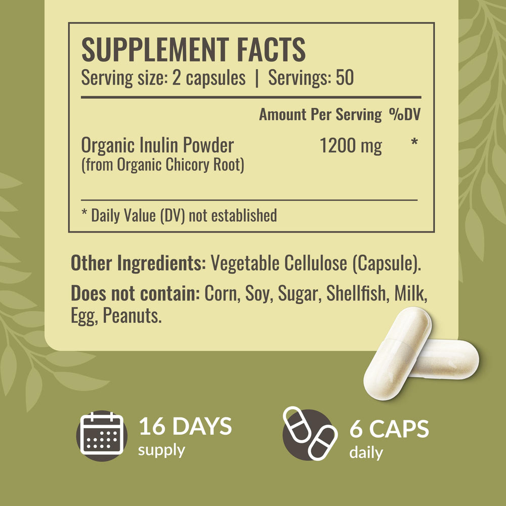Chicory root powder used to make Herbamama Inulin prebiotic