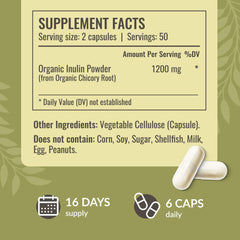 Chicory root powder used to make Herbamama Inulin prebiotic