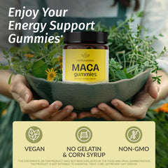 Packaging for HERBAMAMA Maca Root Gummies Pack of 2