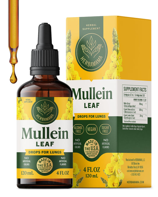 Bottle of Herbamama Mullein Drops for Lungs with dropper