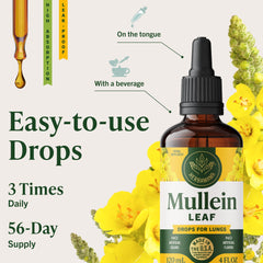 Ingredients: mullein leaf, echinacea, licorice, glycerin