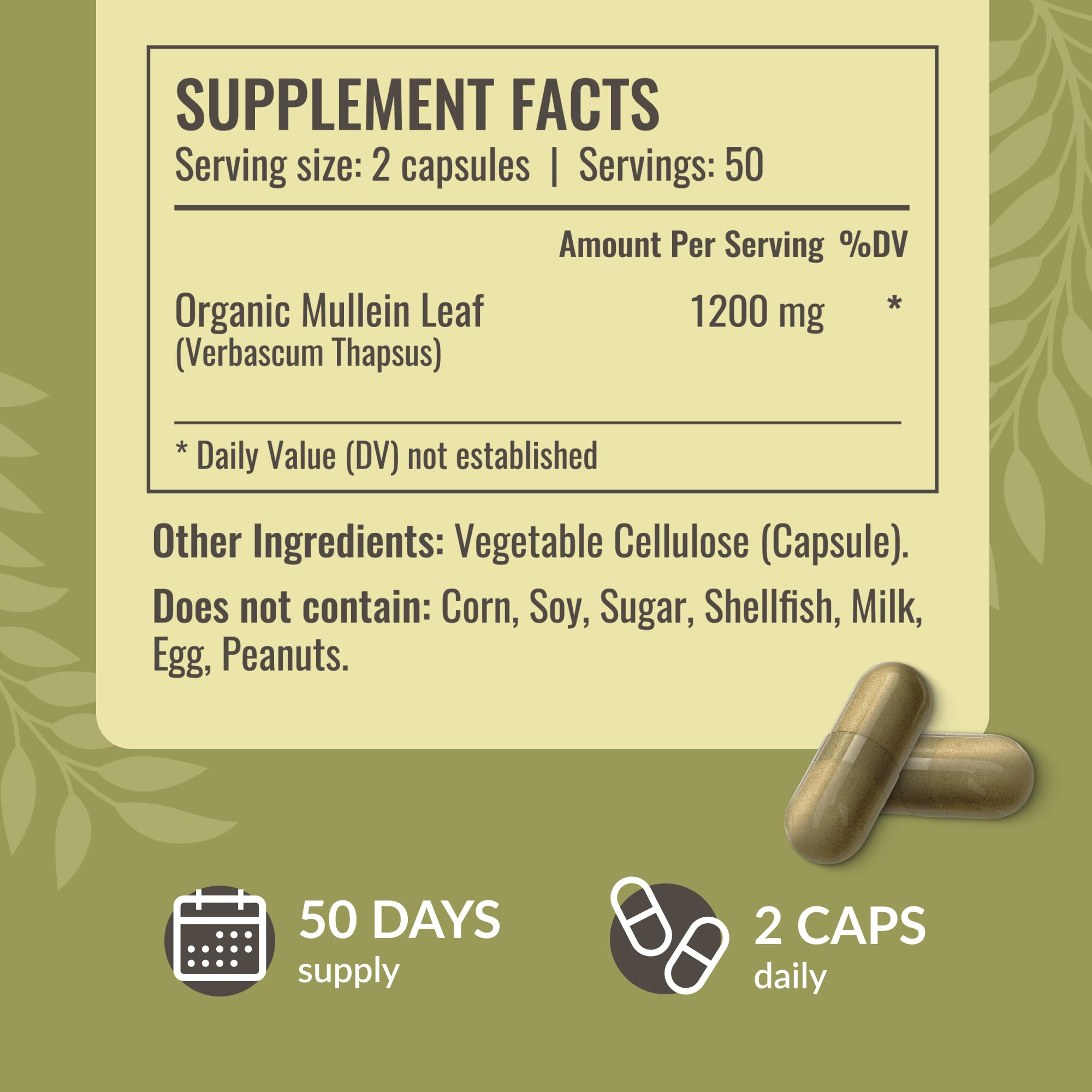 Label highlights 1200mg Mullein extract