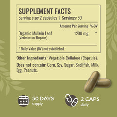Label highlights 1200mg Mullein extract