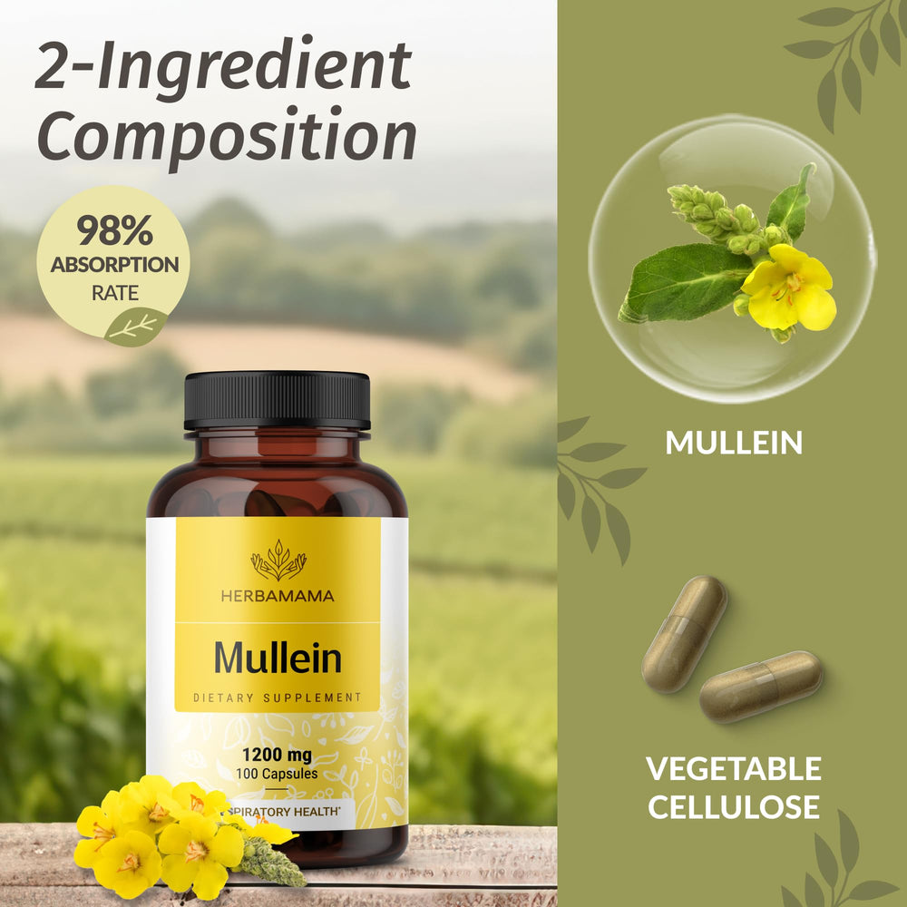 Two-ingredient formula: Mullein extract and vegetable cellulose capsule