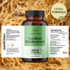 Bottle emphasizes 1600mg Irish sea moss information