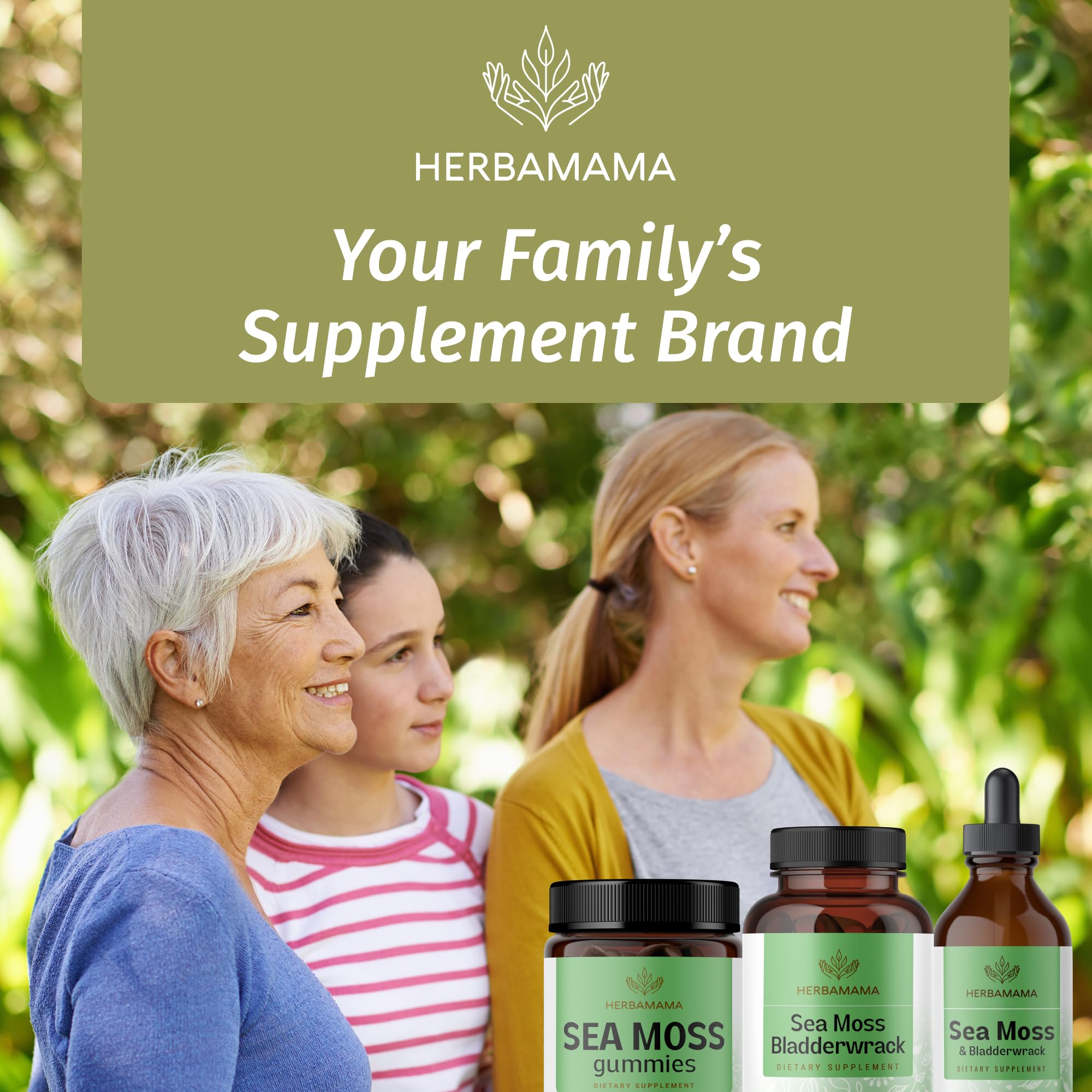 Natural-toned display of sea moss bladderwrack supplement