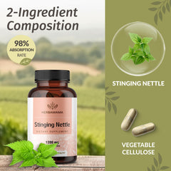 Vegan, Non-GMO Urtica dioica supplement packaging