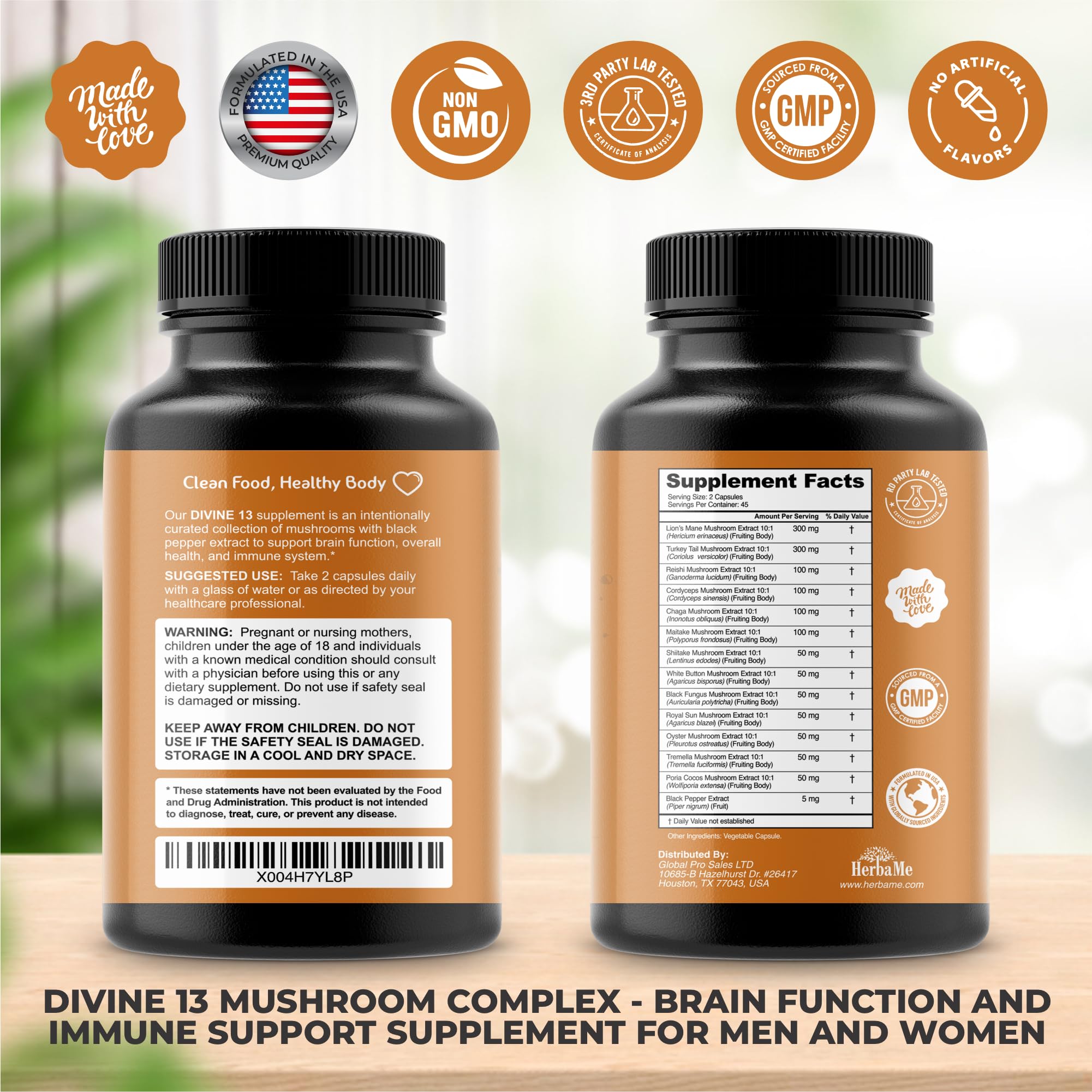 Illustration of mushroom ingredients: Lion's Mane, Cordyceps, Turkey Tail and more