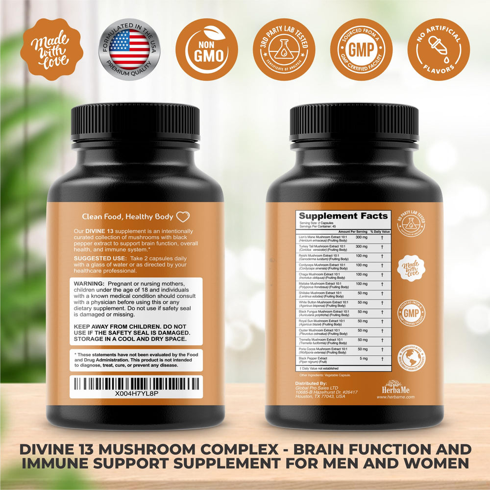 Illustration of mushroom ingredients: Lion's Mane, Cordyceps, Turkey Tail and more