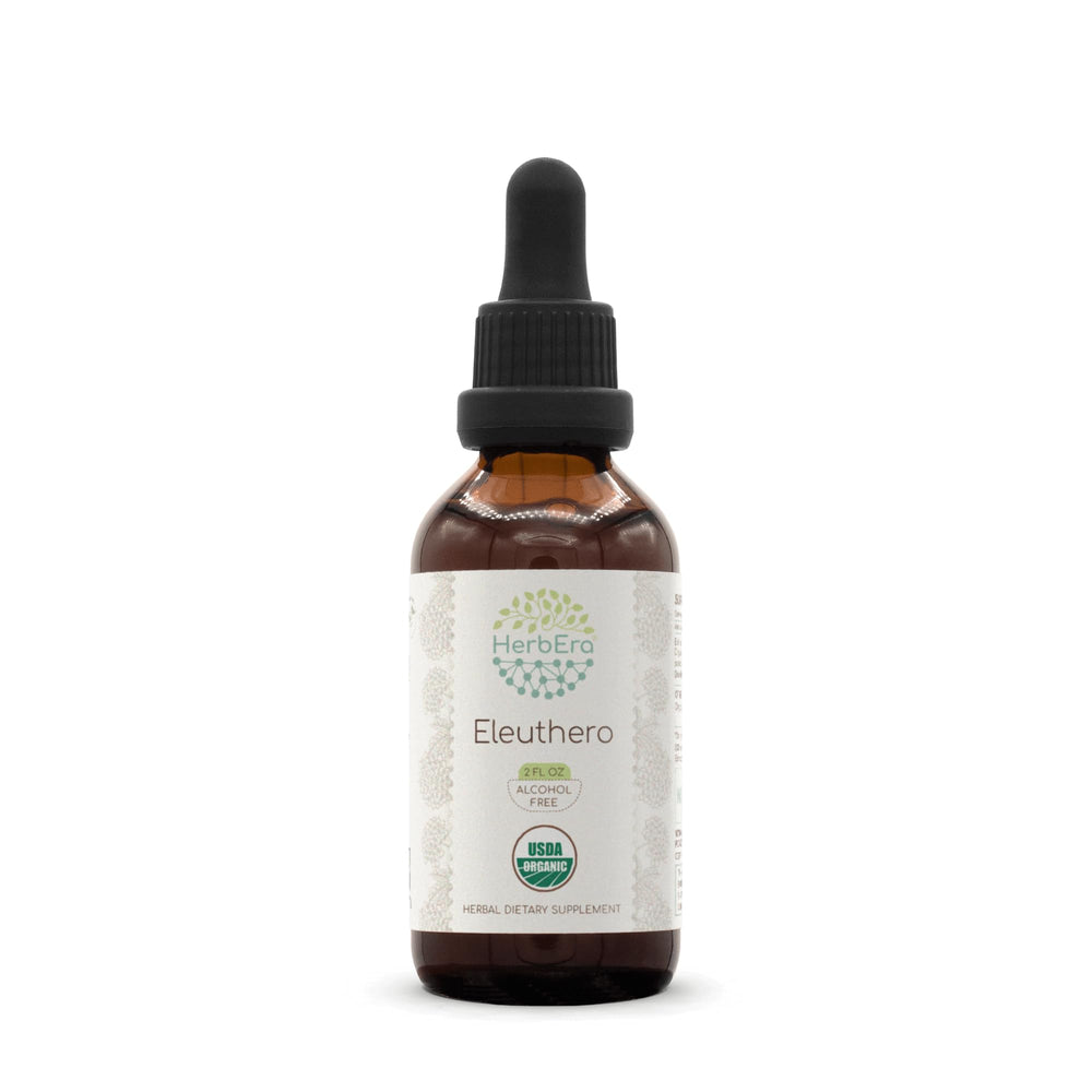 HerbEra Eleuthero B60 tincture bottle 2 oz – front view