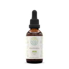 Bottle of HerbEra Marshmallow B60 Alcohol-Free Herbal Extract Tincture, 2 oz