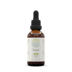HerbEra Teasel B60 alcohol-free tincture bottle with dropper
