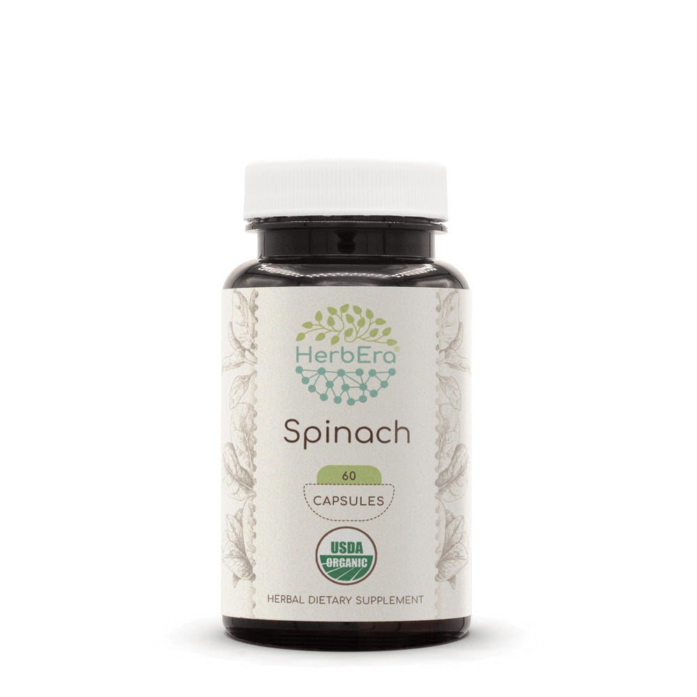 Herbera Spinach 60 capsules front view