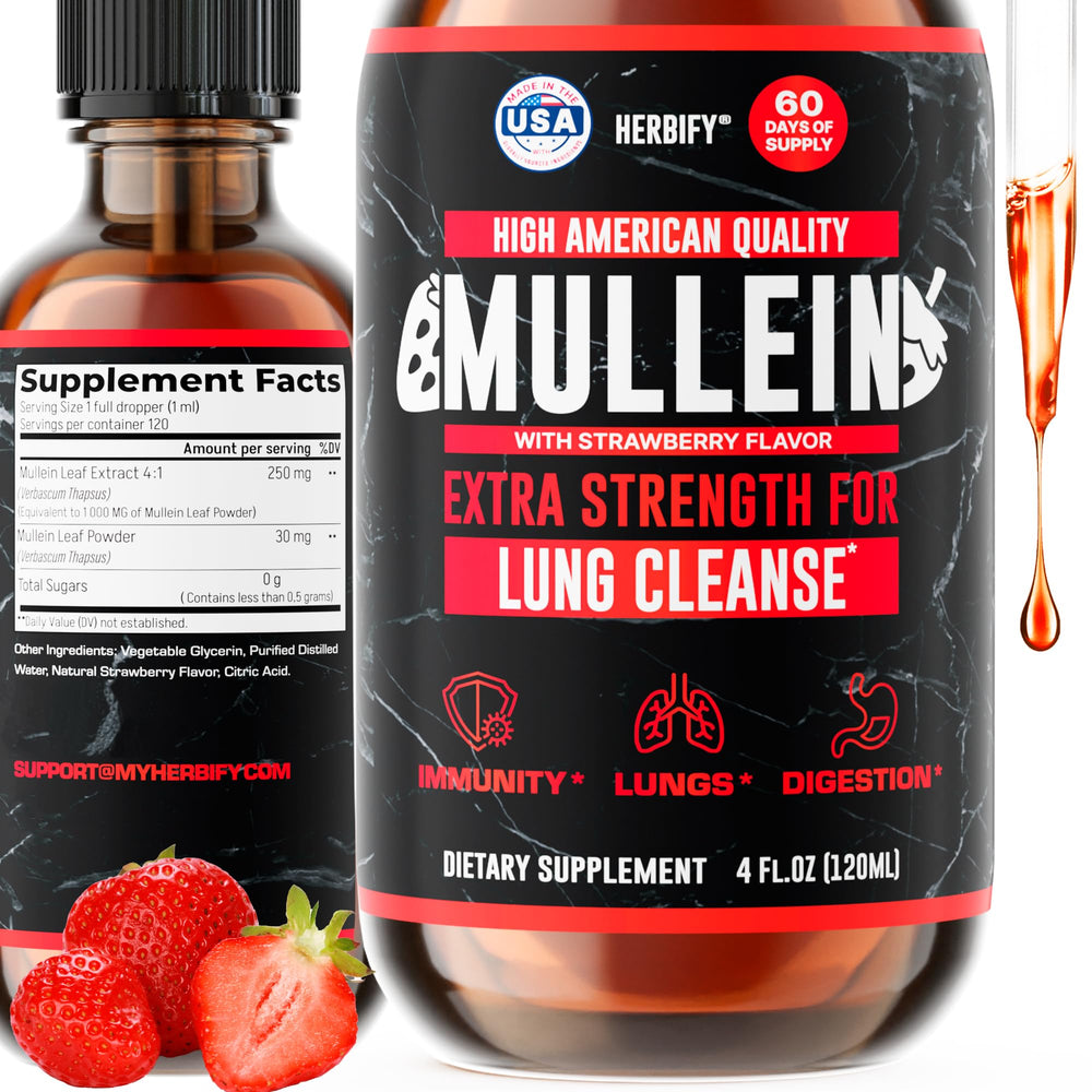 HERBIFY Mullein Drops bottle for respiratory support and daily use