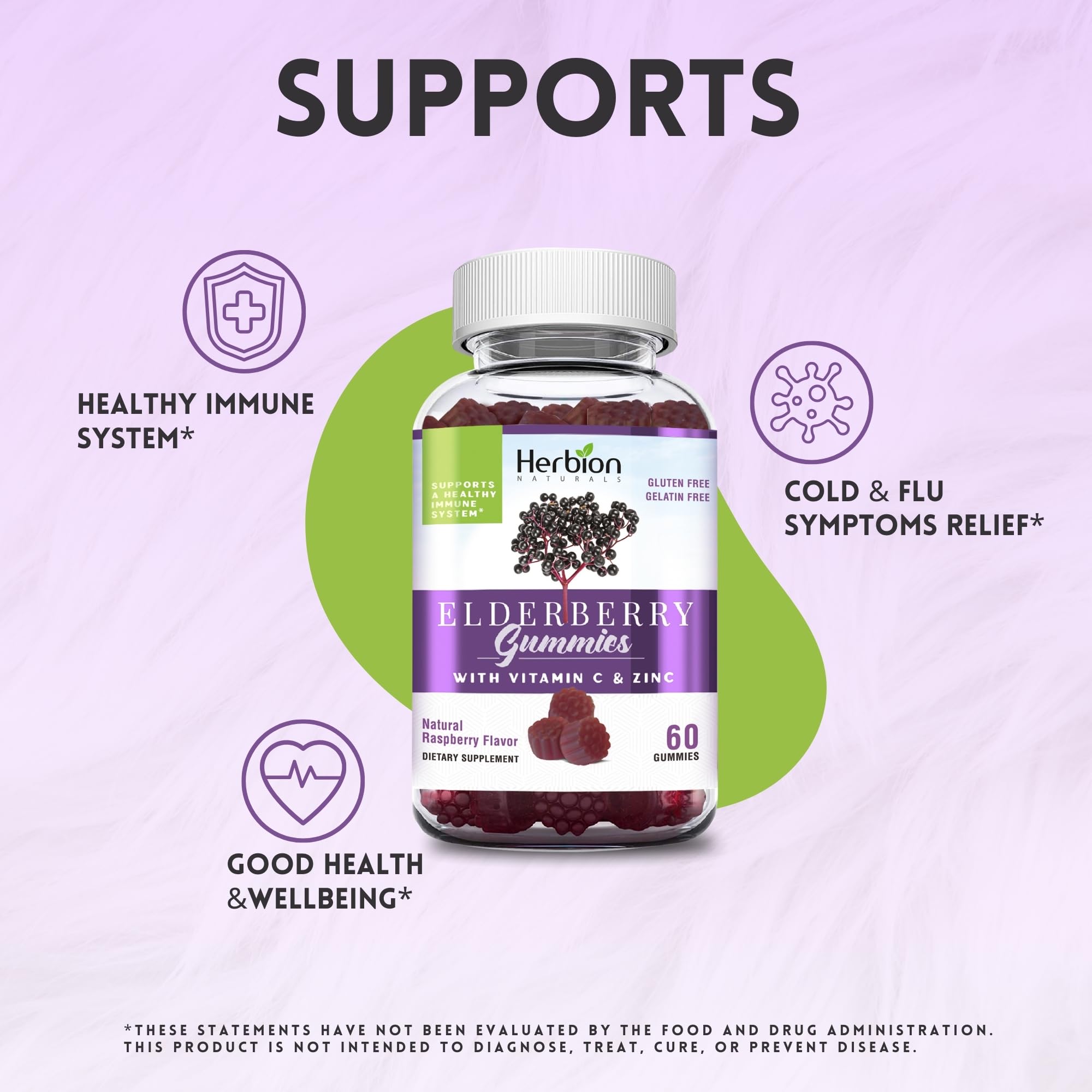 Sambucus Black Elderberry extract illustration