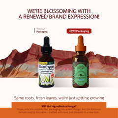 ChlorOxygen drops in water demonstrate convenient mint flavor for easy daily use.