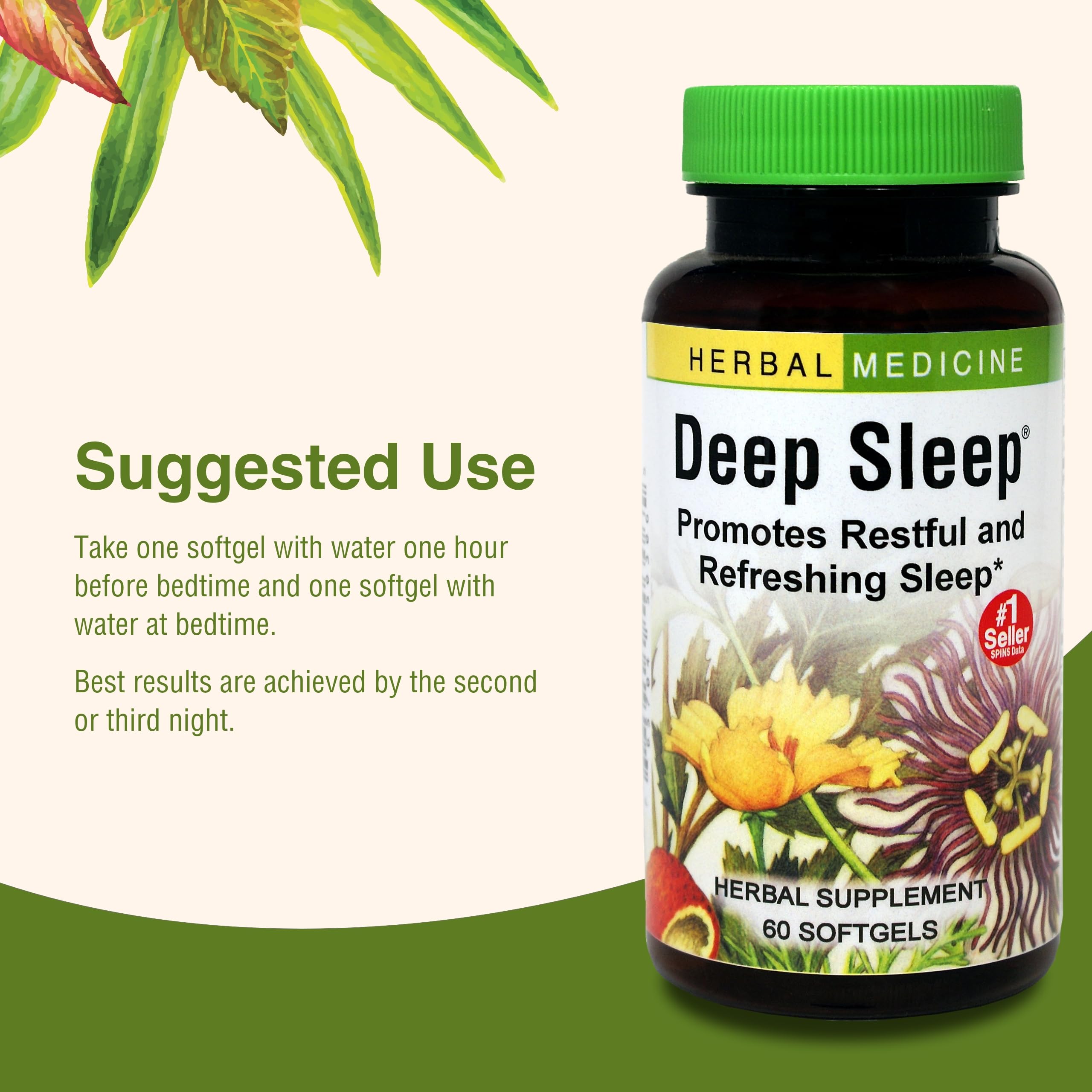 Natural herbal sleep support ingredients layout