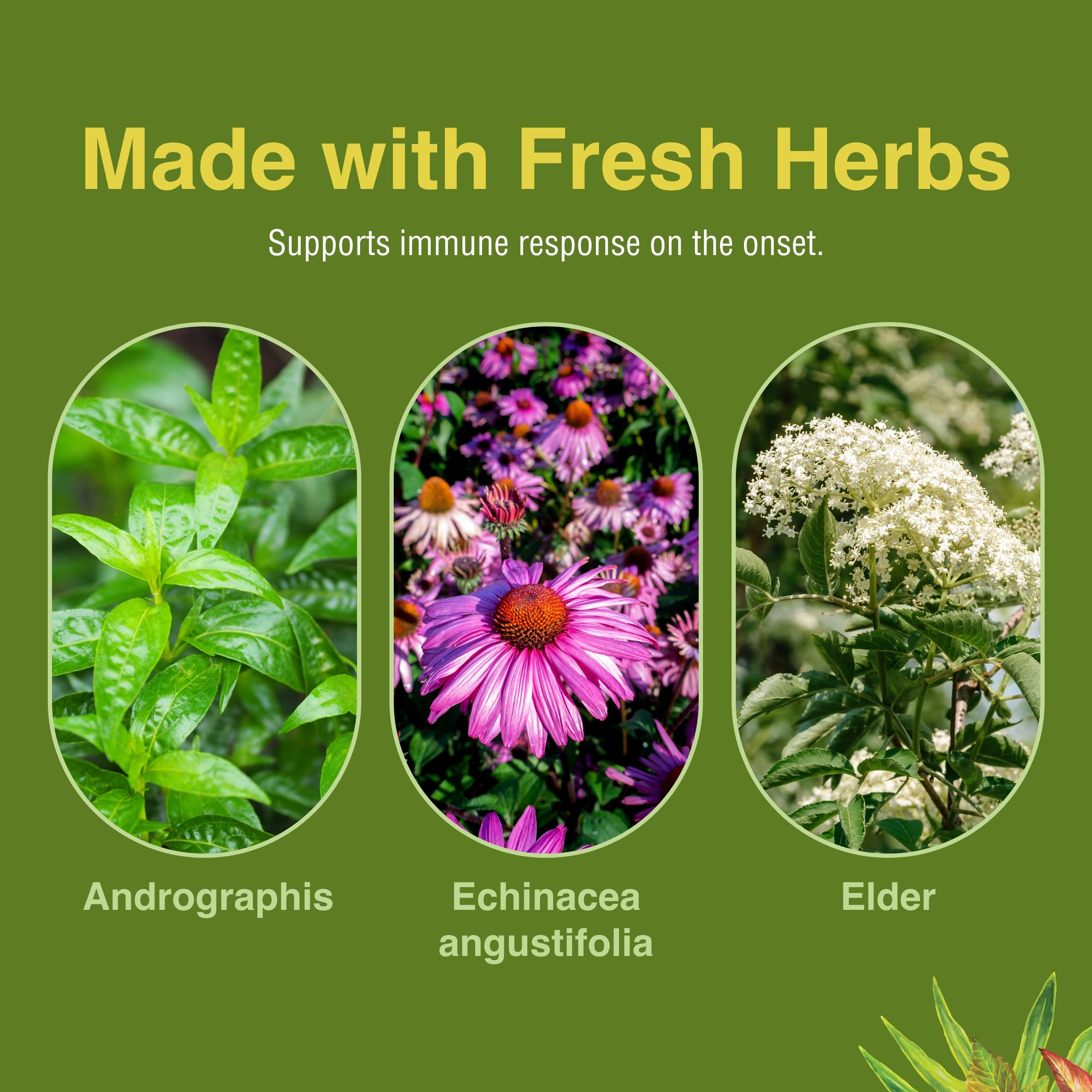 Bottle and cap of Herbs Etc. Immune Alert